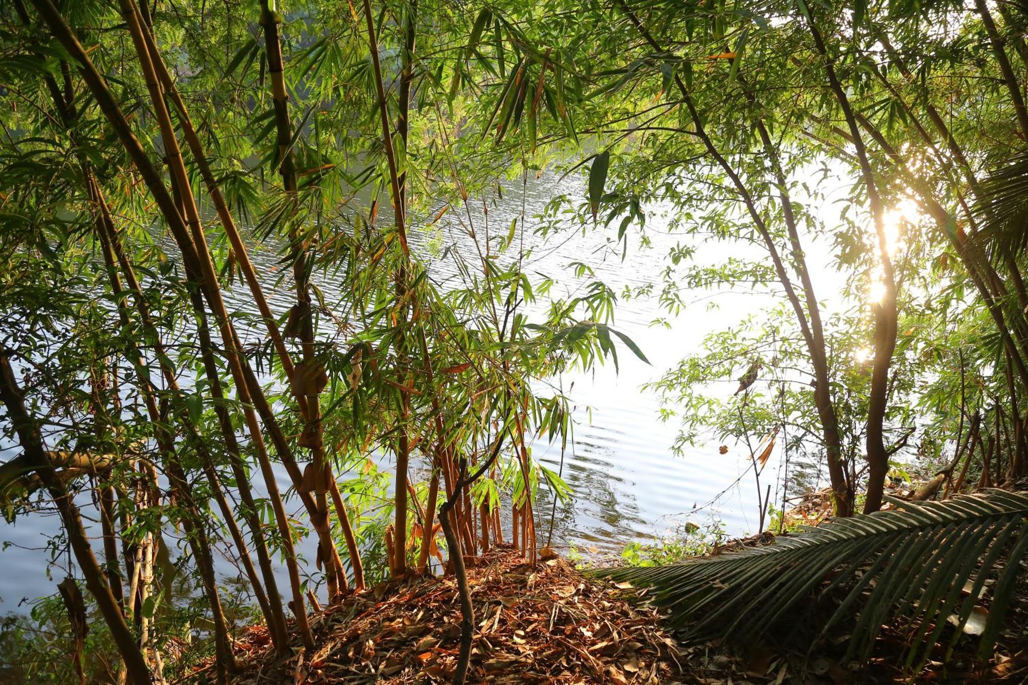 The Mana-Heritage Stay - Chengazhimattam Mana Kottayam Bagian luar foto