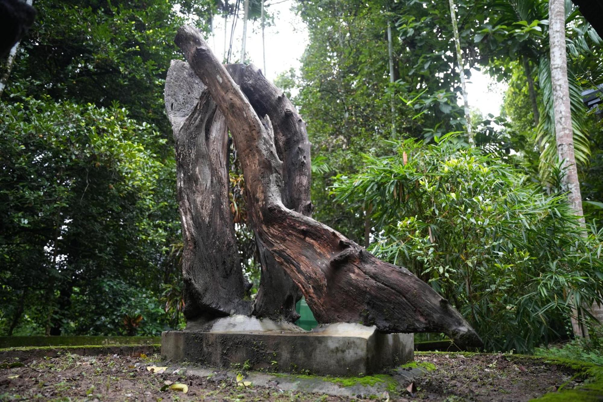 The Mana-Heritage Stay - Chengazhimattam Mana Kottayam Bagian luar foto