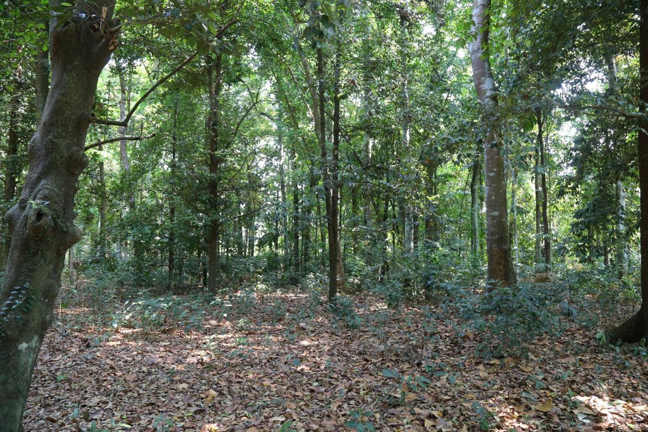 The Mana-Heritage Stay - Chengazhimattam Mana Kottayam Bagian luar foto