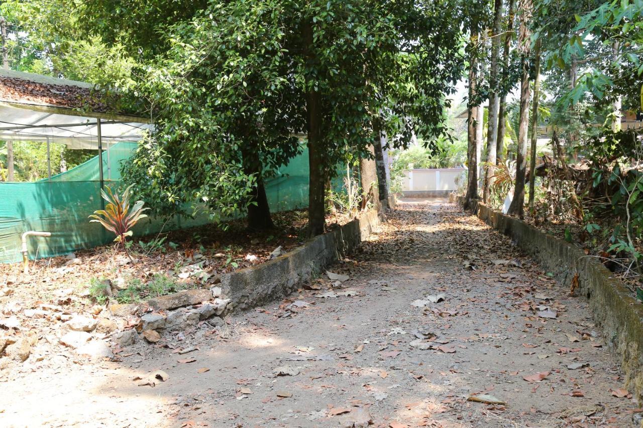 The Mana-Heritage Stay - Chengazhimattam Mana Kottayam Bagian luar foto
