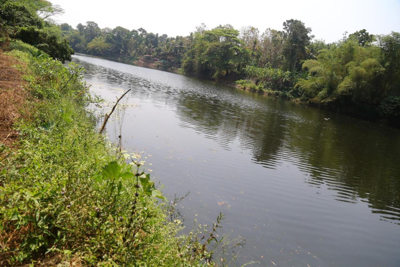 The Mana-Heritage Stay - Chengazhimattam Mana Kottayam Bagian luar foto