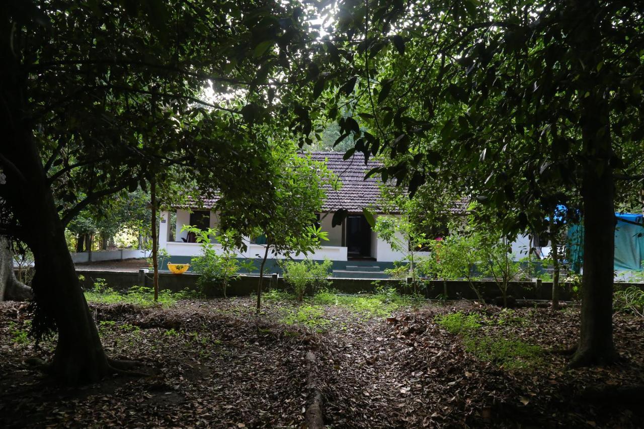 The Mana-Heritage Stay - Chengazhimattam Mana Kottayam Bagian luar foto